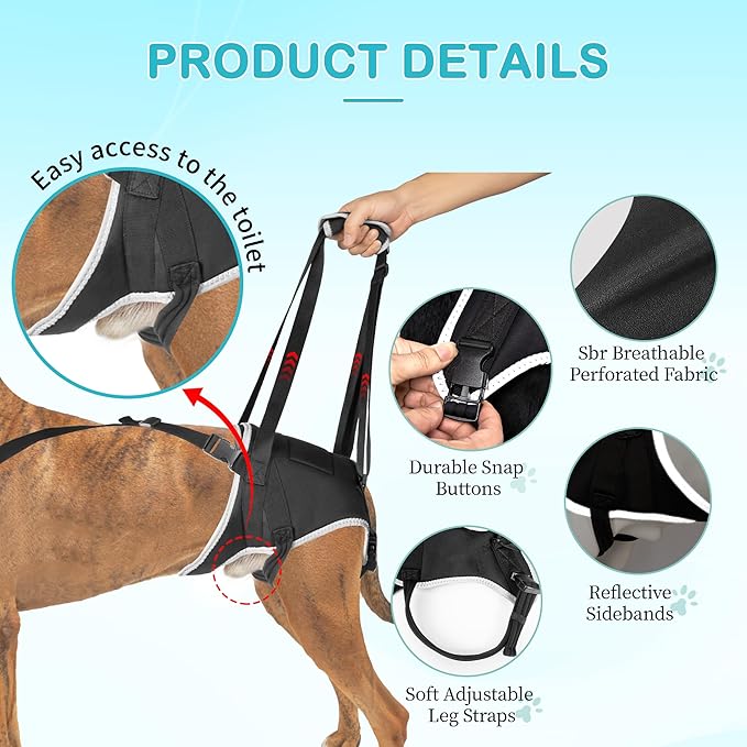 Dog Hip Support Brace – Rear Leg Lift Harness for Mobility & Post-Surgery Recovery, with Chest Straps and Adjustable Elastic Buckles, Customization