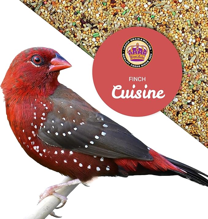 LEACH GRAIN & MILLING CO. Finch Cuisine 4 Lbs, Finch Food, Nutrient-Rich Blend Bird Seed, Birdseed for Finches and Small Birds, Support Daily Energy, Growth & Healthy Balanced Diet, No Mess Bird Seed