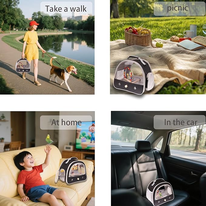 Portable Parrot Travel Cage Carrier with Small Swing Toy&Cage Colorful Toys Set Small Bird Parakeet Bag with Standing Perch Bird Carry Transport Bag (Black, Carreir/Swing)