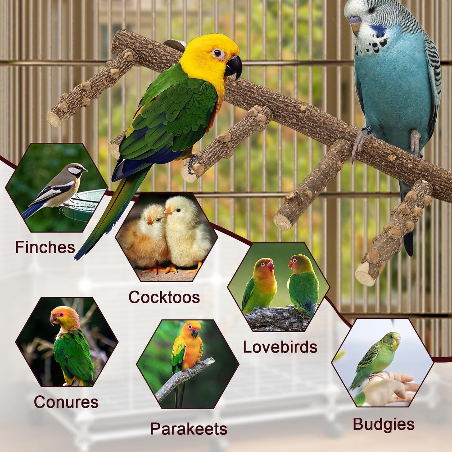 Bird Ladder Perches for Cage, Pole Standing Natural Wood Birds Perch Set, Climbing Chewing Toys, Paw Grinding Fork Parrot Cage Branch with Rope for Macaw Budgie Lovebirds