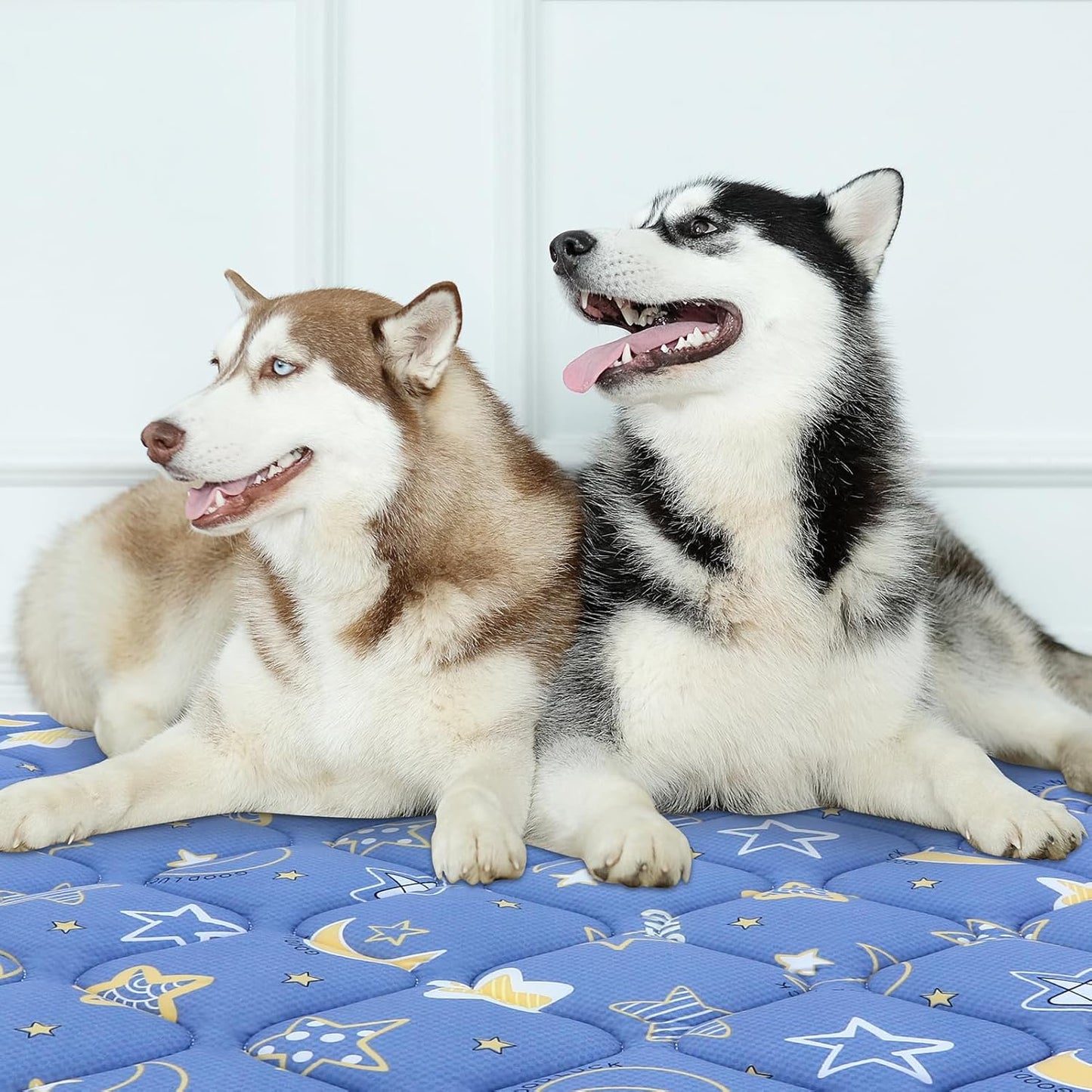 Bubble bear Dog Crate Mat - Ultra Soft, Washable & Anti-Slip Kennel Pad for Small/Medium/Large Dogs, Dark-Hued to Hide Stains (30"x19")