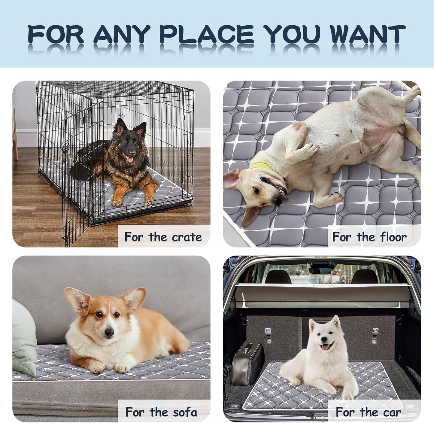 Bubble bear Dog Crate Mat - Ultra Soft, Washable & Anti-Slip Kennel Pad for Small/Medium/Large Dogs, Dark-Hued to Hide Stains (30"x19")