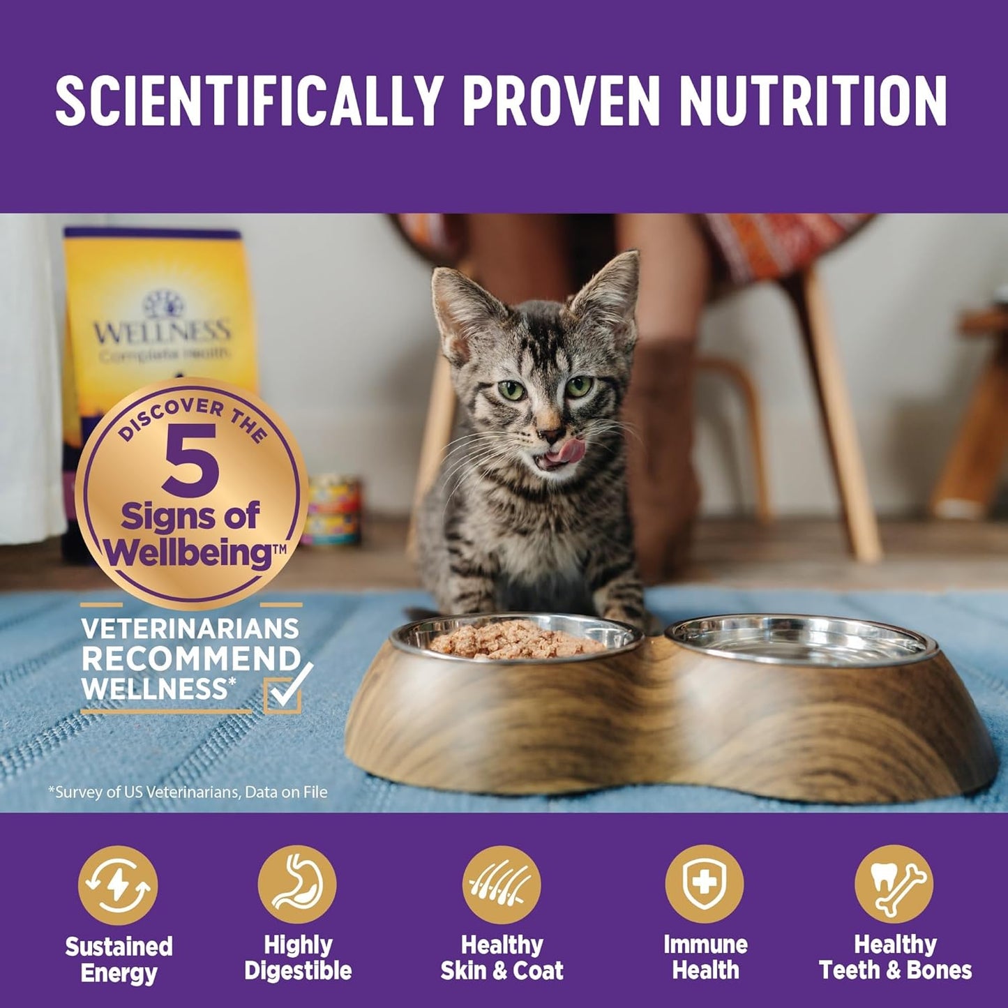 Wellness Complete Health Gravy & Minced Adult Wet Cat Food, Natural, Protein-Rich, Grain-Free, 3 Ounce, 24 Pack, (Chicken & Turkey Lovers Variety Pack)