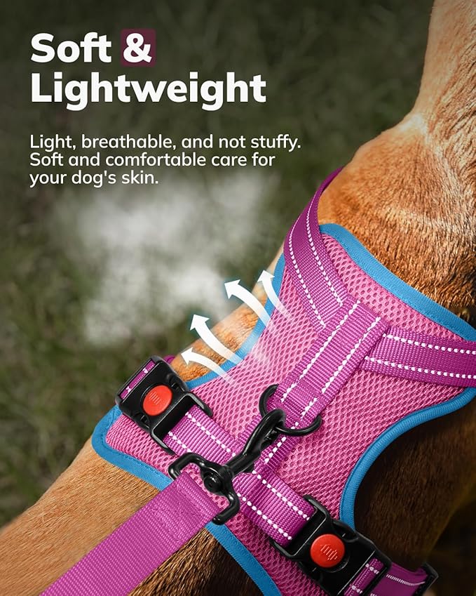 MIDOG No-Pull Dog Harness | Adjustable & Reflective Pet Harness Leash Set for Small Medium Large Dogs Walking, Training| No Choke, Front Clip, Soft Padded Vest with Easy Control Handle - Pink, M