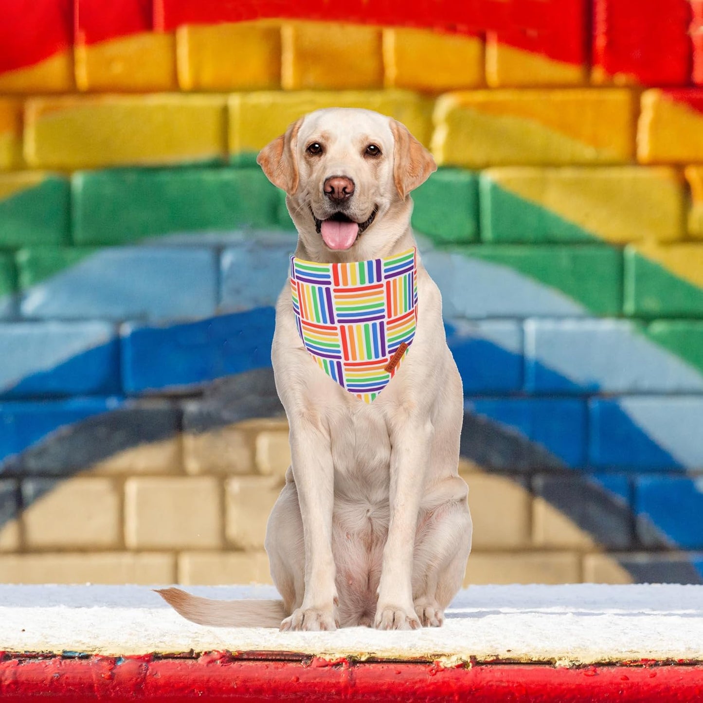 ADOGGYGO Rainbow Dog Bandana, Holiday Pet Scarf, Adjustable Fit Colorful Rainbow Bandanas for Extra Large Dogs Pets (X-Large)