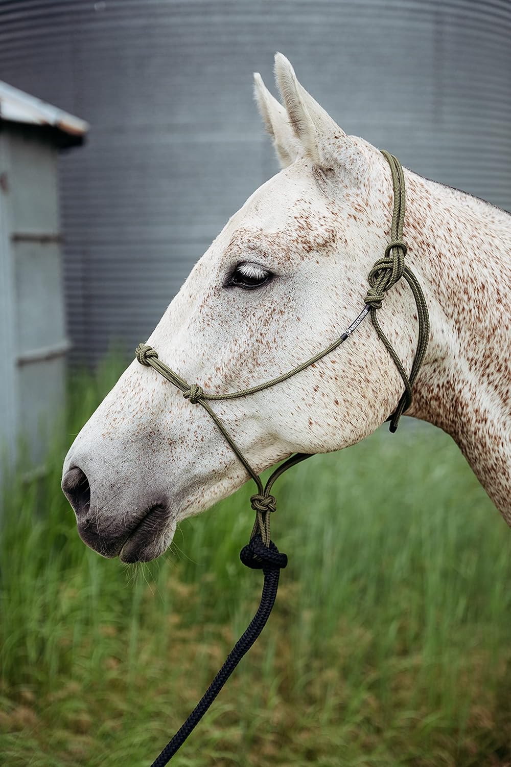 Double Braid Polyester Yacht Horse Lead Rope with Loop 12ft. or 14ft. Lengths (Ultra Marine, 14 ft. No Snap)