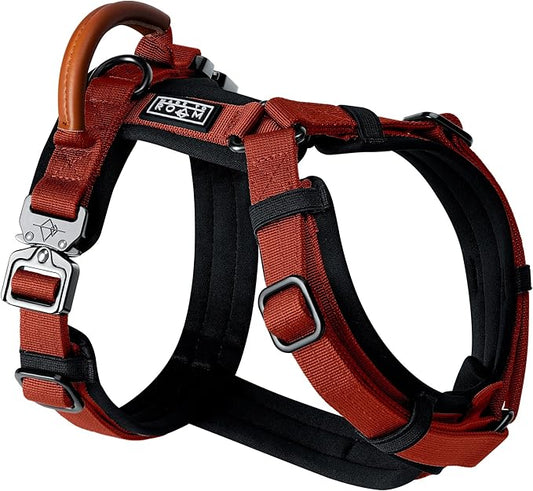 MADE TO ROAM Premium Explorer Harness - Y-Shaped Dog Harness with Adjustable Durable Nylon, Soft Padding, Metal Buckles and Leather Handle for Small, Medium, Large Dogs (Texas Flair, Size 3)