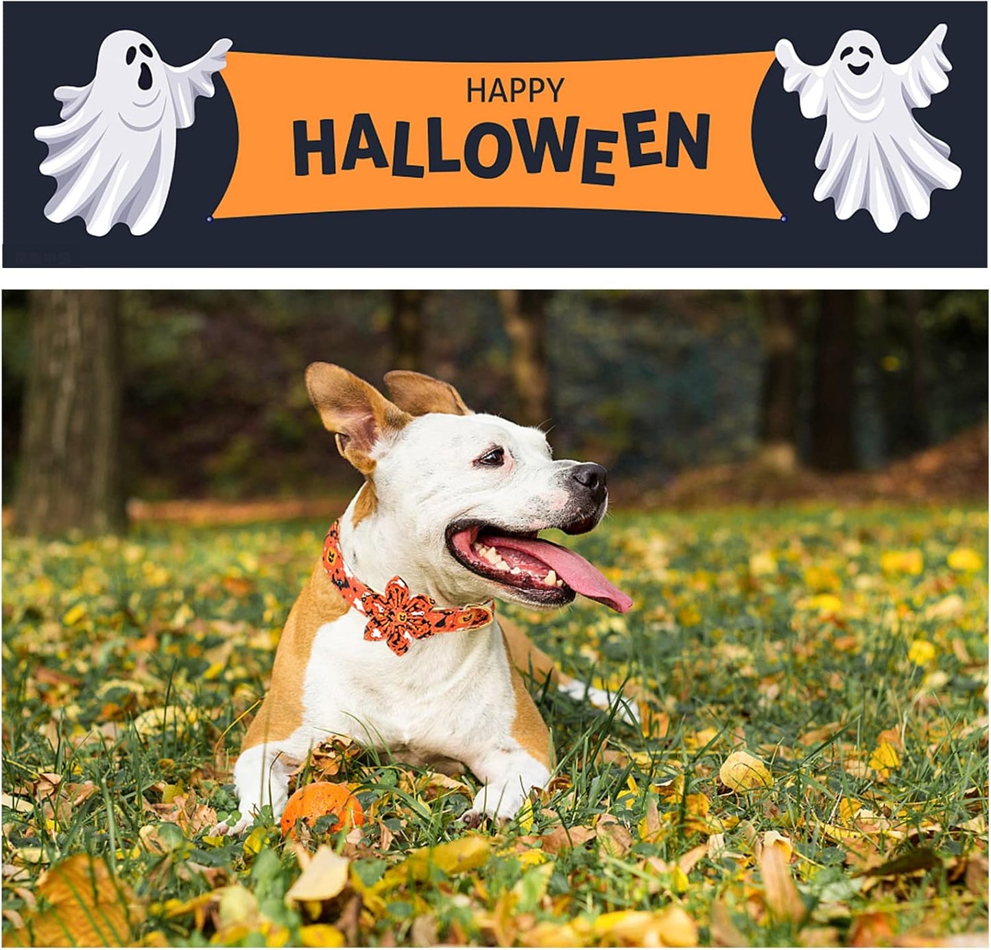 Unique style paws Halloween Dog Collar with Flower Tie Cotton Adjustable Puppy Collar for Small Medium Large Dogs-XL