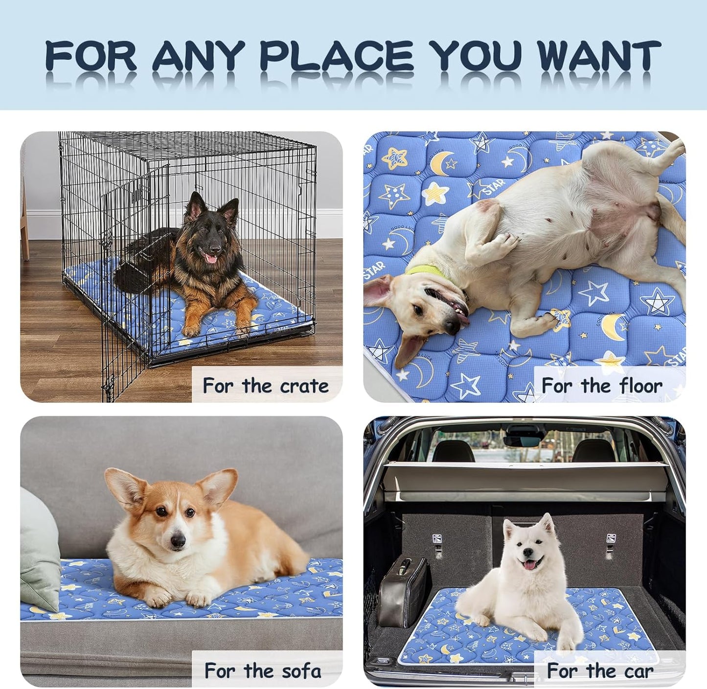 Bubble bear Dog Crate Mat - Ultra Soft, Washable & Anti-Slip Kennel Pad for Small/Medium/Large Dogs, Dark-Hued to Hide Stains (30"x19")