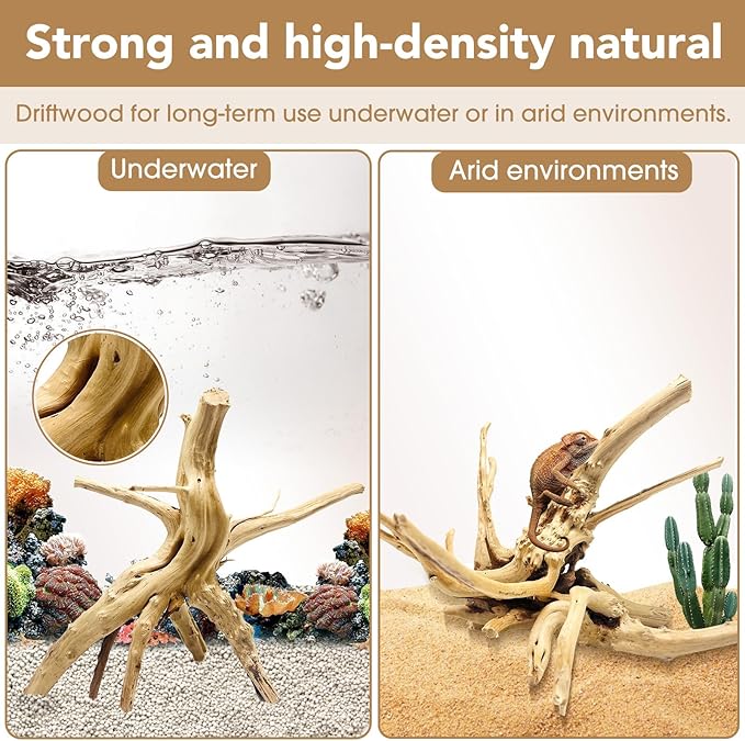 Natural Small Spiderwood Driftwood for Aquarium Decor Rptile Fish Tank Decoration Assort Branch 4-7'' 8 Pcs