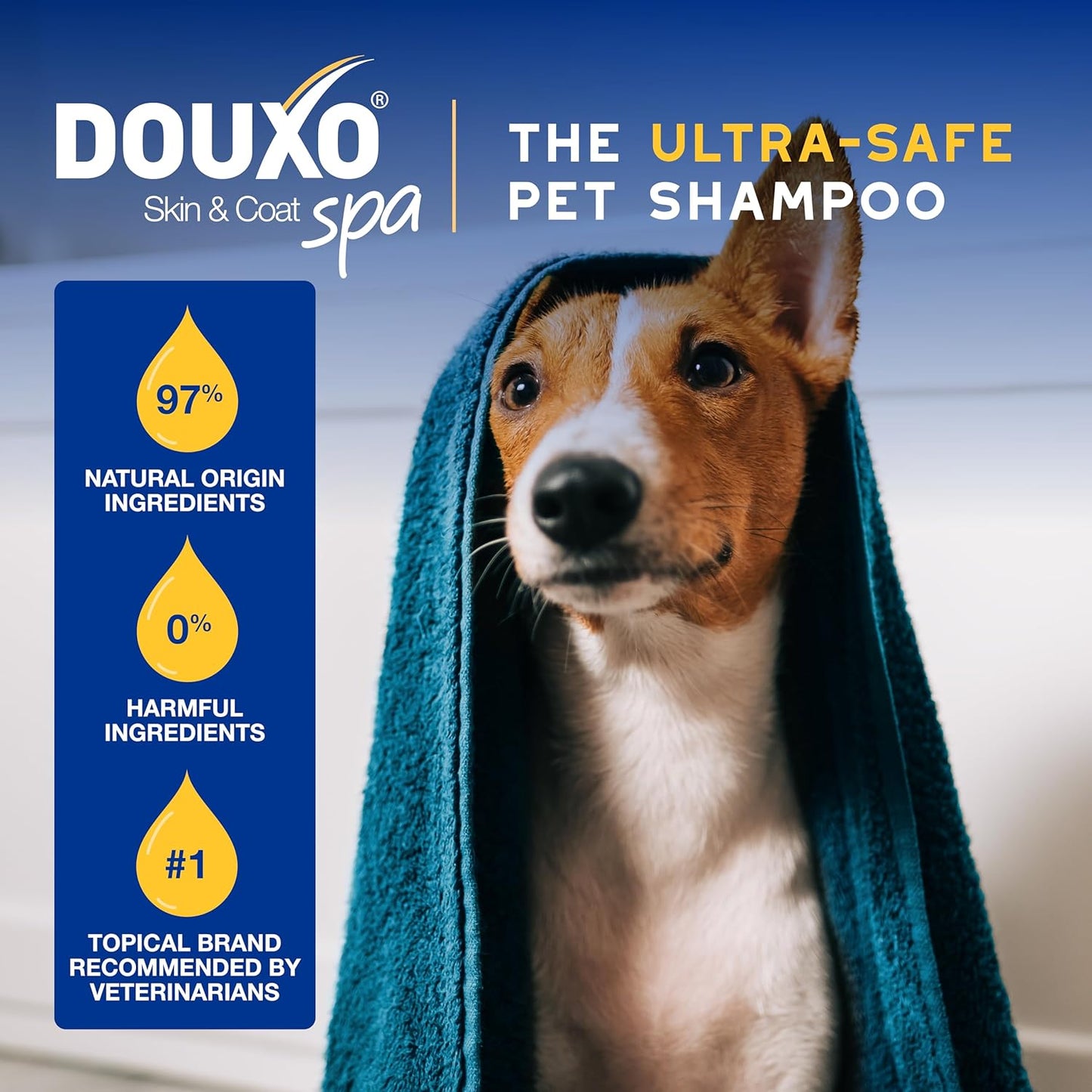 DOUXO® Skin & Coat SPA - Ultra-Safe Oatmeal Dog Conditioner, 16 fl oz, Safely Detangles, Moisturizes, Leaves The Coat Soft, Silky and Radiant, Skin-Friendly Formula