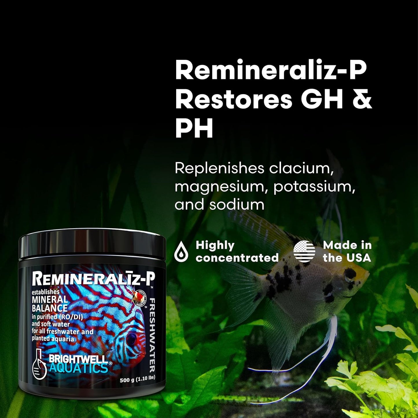 Brightwell Aquatics Remineraliz P - Reconstitutes Reverse Osmosis, Deionized, or Distilled Water for Freshwater Aquarium Use 1000-g