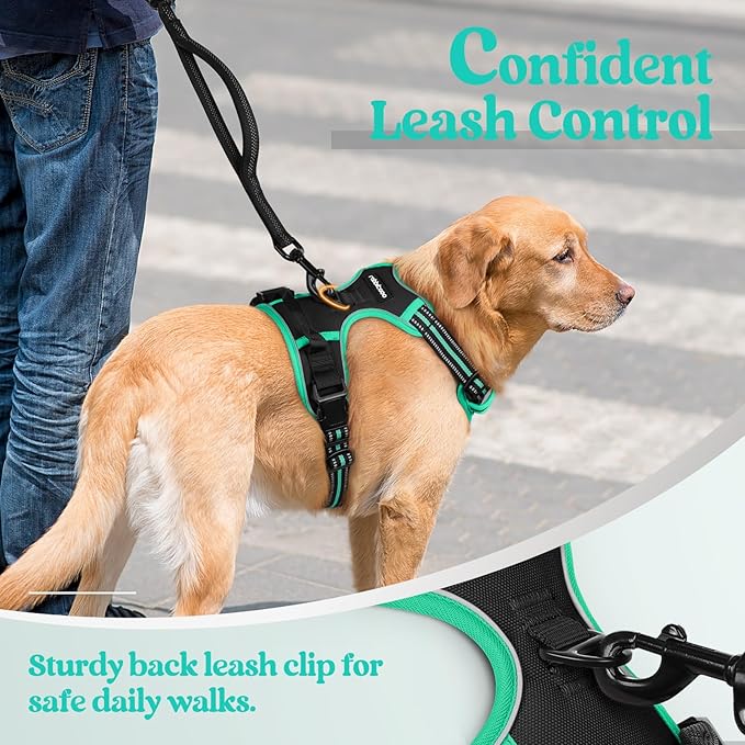 rabbitgoo Dog Harness No Pull with 2 Leash Clips, Adjustable Soft Padded, Reflective Oxford No Choke Pet Vest with Easy Control Handle for Large Dogs, Black & Turquoise, XL