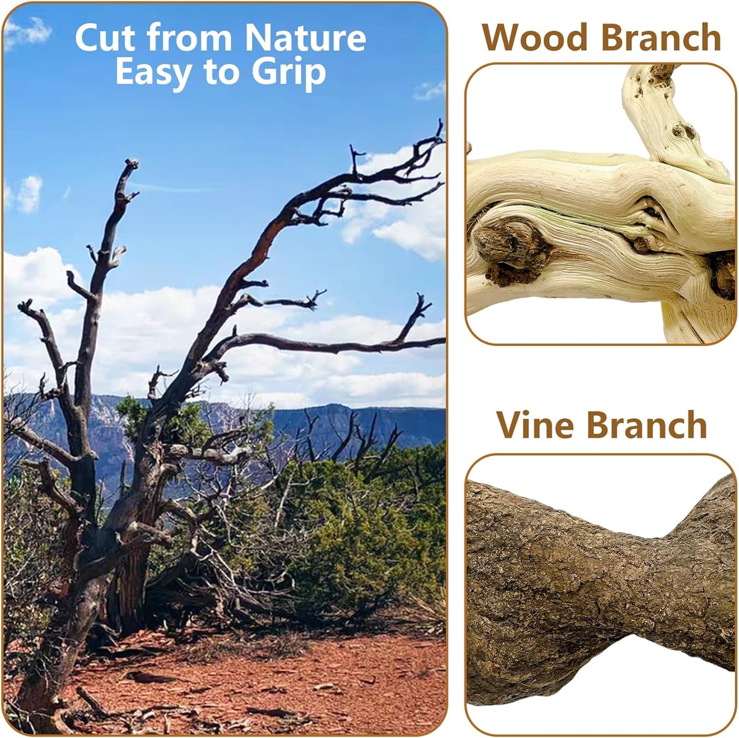 BNOSDM Reptile Branches, 15-17inch Snake Climbing Branch, Terrarium Wood Branch Decor, Bearded Dragon Tank Climbing Accessories for Lizard, Gecko, Chameleon, Frog, 2Pcs