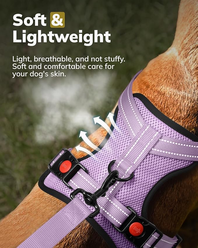 MIDOG No-Pull Dog Harness | Adjustable & Reflective Pet Harness Leash Set for Small Medium Large Dogs Walking, Training| No Choke, Front Clip, Soft Padded Vest with Easy Control Handle - Purple, L