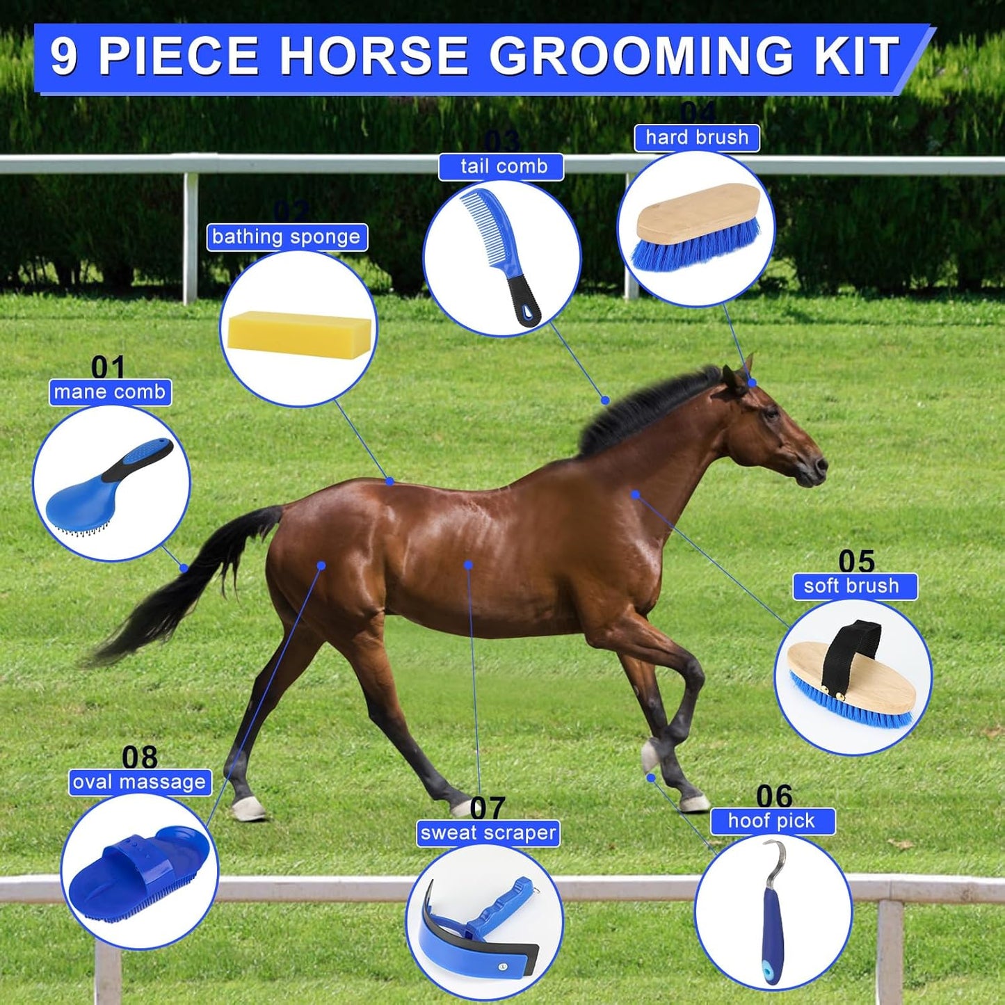 9 Pieces Grooming Kit with Tote Bag - Horse Brush Set, Sweat Scraper, Sponge, Hoof Pick, Curry Comb for Riders and Beginners (Blue)