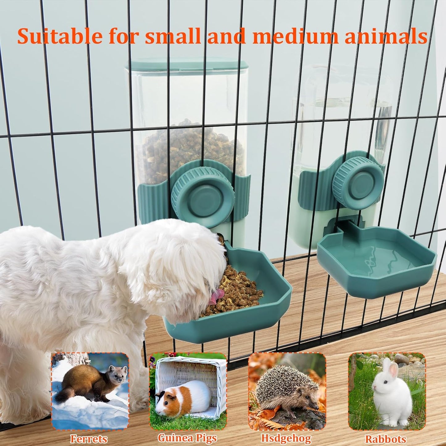 Automatic Gravity Pet Feeder Water Dispenser with Adjustable Hanging Hook - Large Capacity for Small/Medium Animals (Guinea Pigs, Cats, Rabbits, Hedgehogs, Ferrets) (Blue)