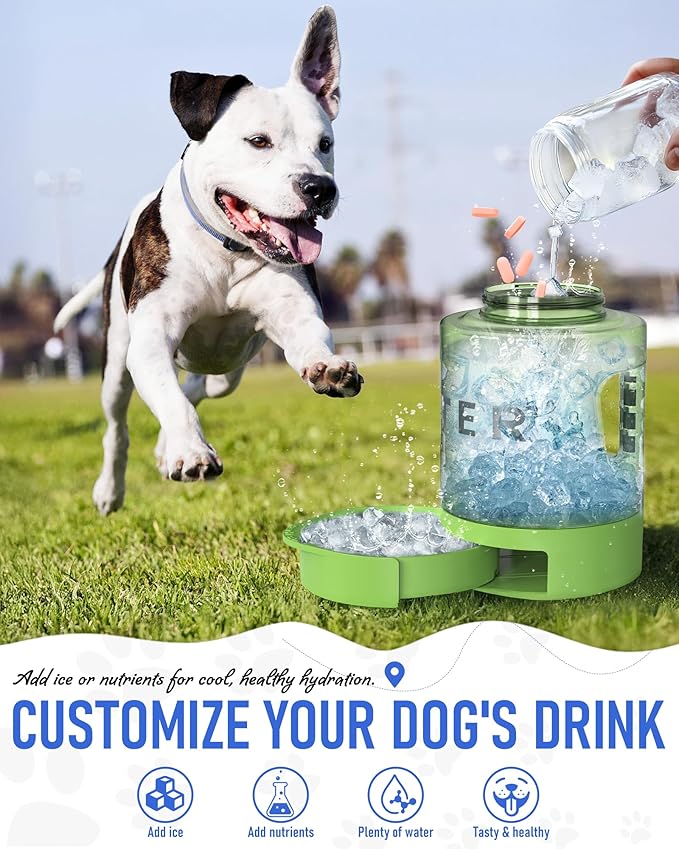 ortable Dog Travel Water Bottle, 77oz Large Portable Dog Water Bowl Dispenser, Leakproof Pet Drinking Bottle Dispenser for Hiking Camping Walking Travelling Beach Car Trips, No Spill, BPA Free,Green