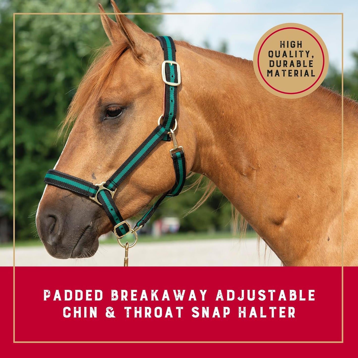 Weaver Equine Breakaway Horse Halter, Comfort Foam Padding, Adjustable Chin & Throat Snap Halters for Horses, Equine Tack,Average Size, Green