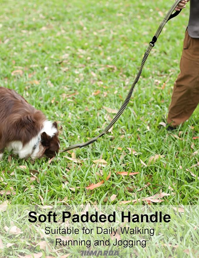 Heavy Duty Dog Leash with 2 Padded Handles & Advanced Easy Metal Clip, 4-6FT Shock Absorbing No Pull Dog Leashes for Medium Large Dogs That Pull (Army Green)