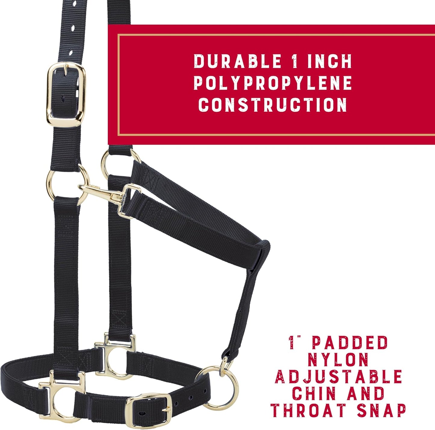 Weaver Leather Nylon Horse Halter, Padded and Adjustable, Chin and Throat Snap Hook Halters for Horses, Brass Plated Halters for Training