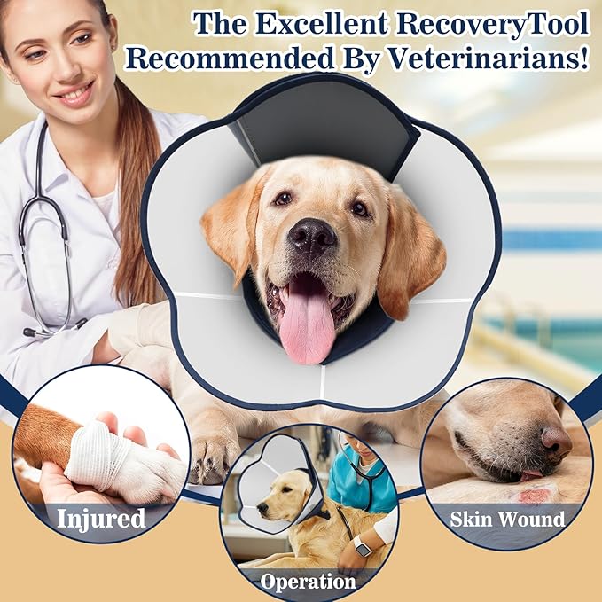 Hard & Heavy Plastic Dog Cone Collar Alternative for Lab Golden GSD (Small&Medium Sized) After Surgery, Large Adjustable Recovery Cone Anti-Lick, Elizabethan Protective Cone of Shame for Healing