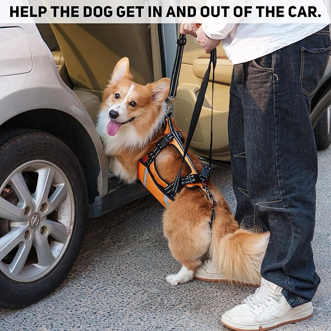 COODEO Mobility Dog Lift Harness, Emergency Carry Sling, Pet Rear Leg Support Rehabilitation Lifts Vest, Dog Carrier for Senior Dogs Joint Injuries, Arthritis (Orange, XL)