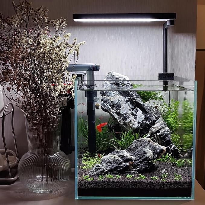 Natural Seiryu Dragon Stone - 11 Pound Aquarium Rock for Fish Tank Reptile and Amphibious Tank 3-8 Inch Aquarium Decoration