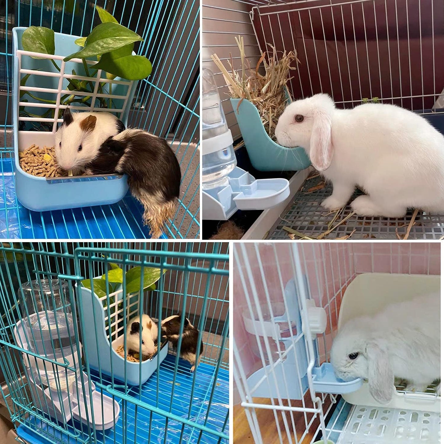 HERCOCCI PET Feeder and Water Bottle Set, Large Blue (500ml), Durable Hay Food Bin Feeder, Food Bowl, Gravity-Fed Water Dispenser for Rabbit, Guinea Pig, Chinchilla