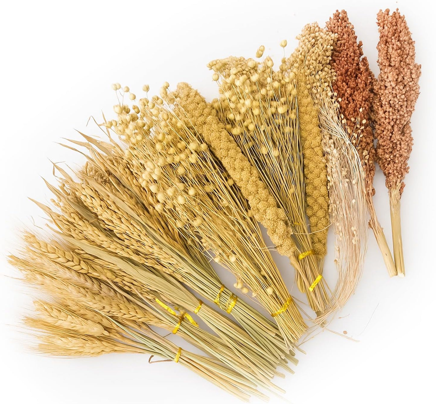 ZIPPYPET Hamster Sprays and Forage Accessories for Cages, Pet Mouse Decor Textures (7)