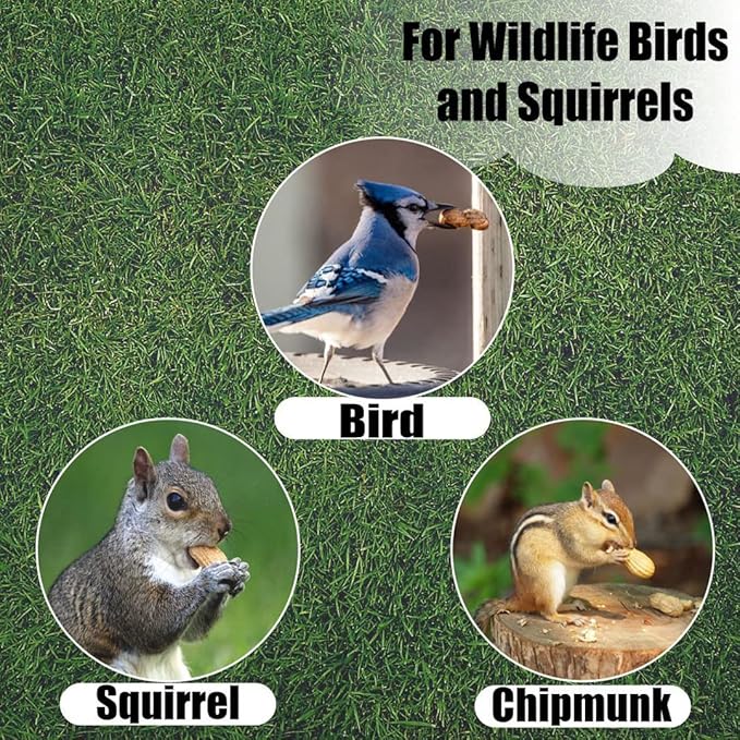 Old Potters Wildlife in-Shell Peanuts for Birds, Squirrels, and Wildlife. USA Grown Non-GMO Raw in-Shell Peanuts (in-Shell, 4 lbs)