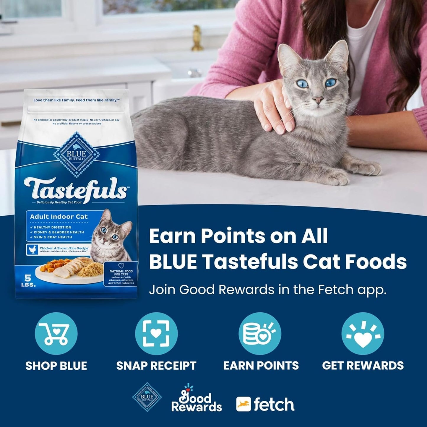 Blue Buffalo Tastefuls Adult Dry Cat Food Indoor Cat Formula, Made in the USA with Natural Ingredients, Salmon Recipe, 7-lb. Bag