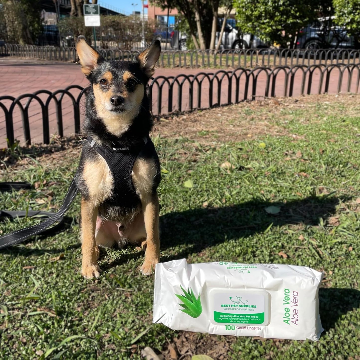 Best Pet Supplies Pet Grooming Wipes for Dogs & Cats,Deodorizer for Coats & Dry, Itchy, or Sensitive Skin, Clean Ears, Paws, Body, & Butt - Hydrating, Aloe Vera, 400 Count.