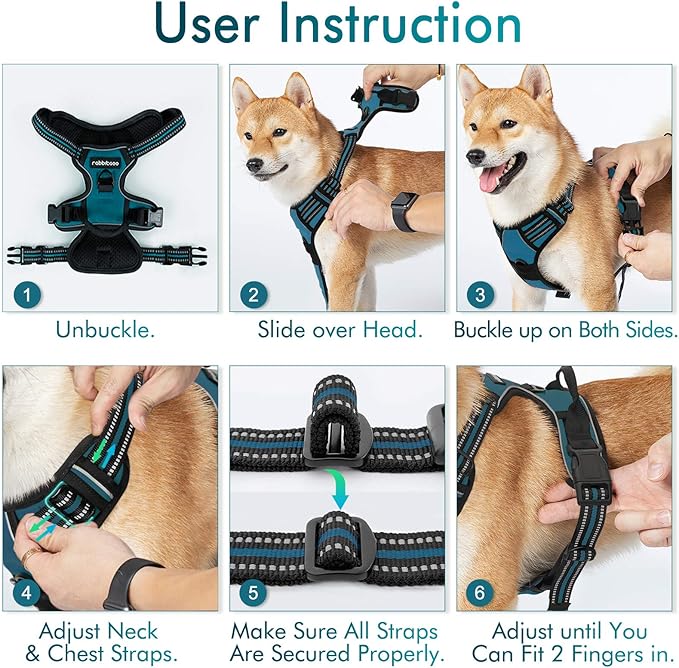 rabbitgoo Dog Harness No Pull with 2 Leash Clips, Adjustable Soft Padded, Reflective Oxford No Choke Pet Vest with Easy Control Handle for Medium Sized Dogs, Blue Coral, M