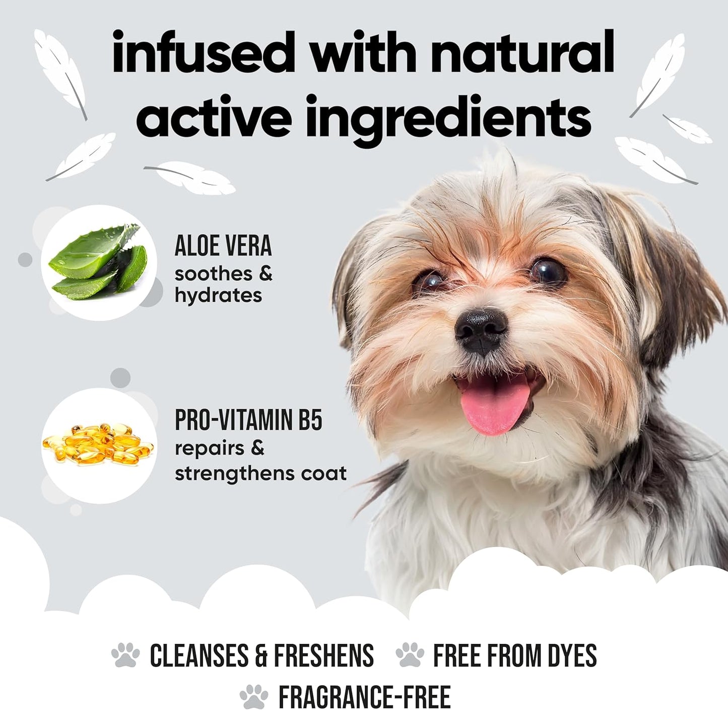 Derma Sensitive Dog Shampoo with Aloe Vera and Pro Vitamin B5 (50.72oz)