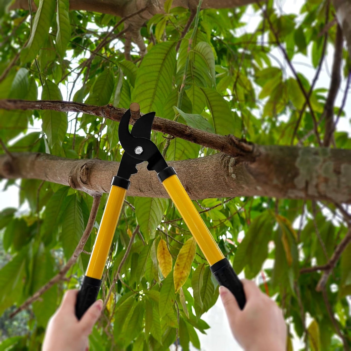 Gardening Tools – 42 Piece Premium Gardening Tool Set,Heavy Duty Hand Tools with Fashion Garden Tools Organizer Handbag,Rust-Proof Gardening Tool Kit, Ideal Gardening Gifts for Women(Pink Floral)