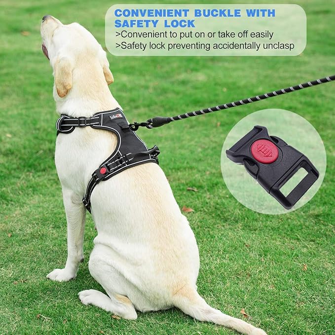 No Pull Dog Harness Adjustable Reflective Oxford Easy Control Medium Large Dog Harness with A Free Heavy Duty 5ft Dog Leash (S (Chest: 17.5"-21"), Purple Harness+Leash)