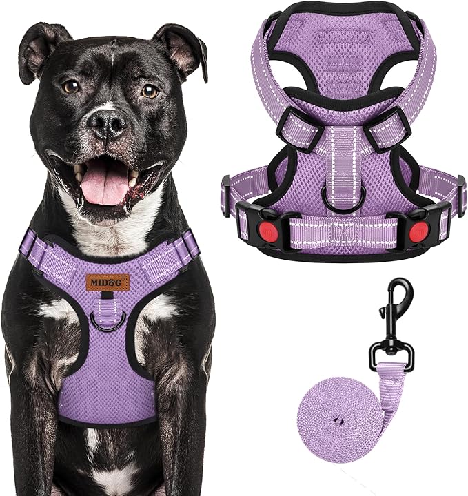 MIDOG No-Pull Dog Harness | Adjustable & Reflective Pet Harness Leash Set for Small Medium Large Dogs Walking, Training| No Choke, Front Clip, Soft Padded Vest with Easy Control Handle - Purple, L