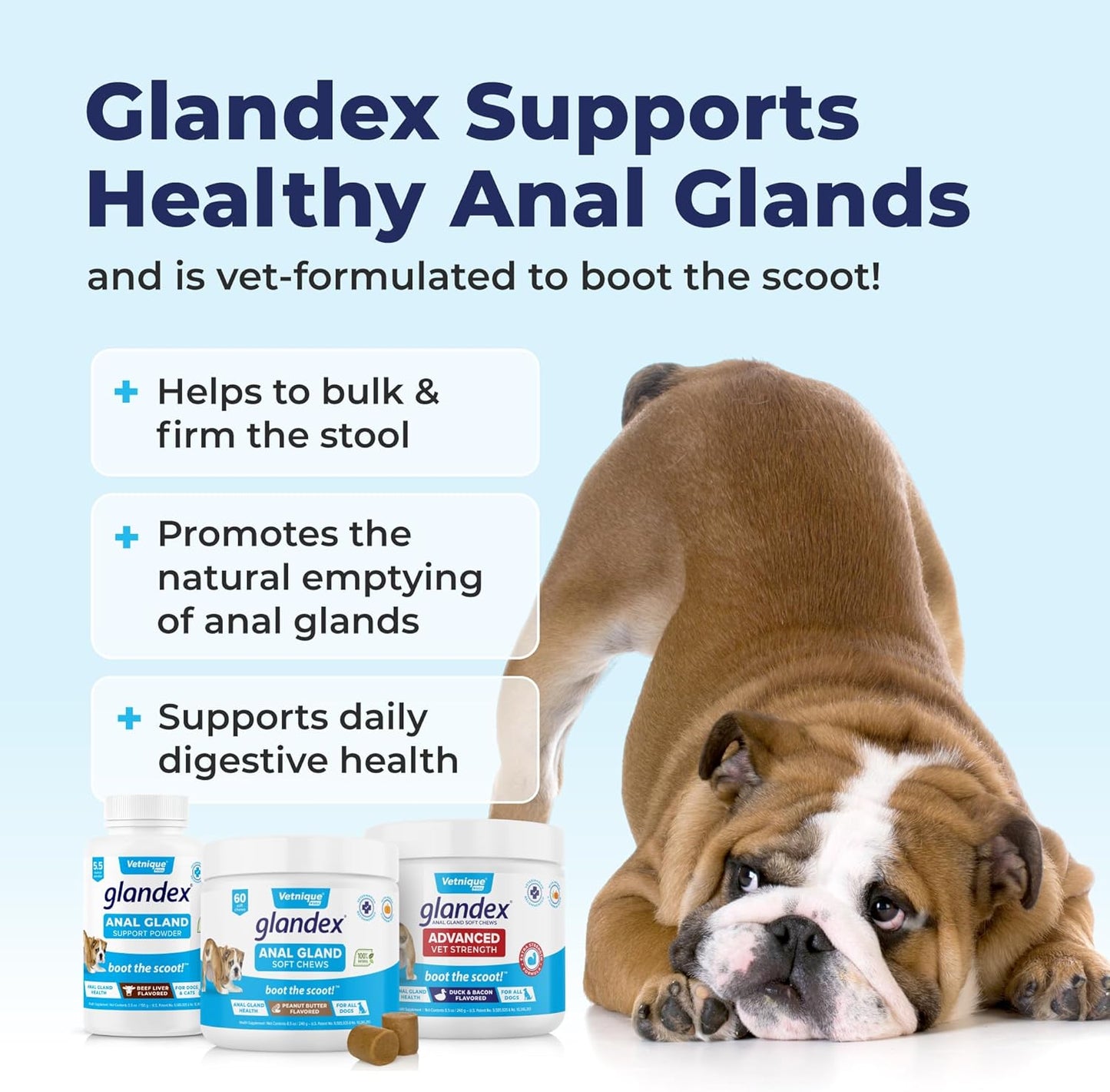 Glandex Dog Fiber Supplement Powder for Anal Glands with Pumpkin, Digestive Enzymes & Probiotics - Vet Recommended (Regular or Advanced Strength) - Boot The Scoot (5.5 oz, Vegan Salmon)