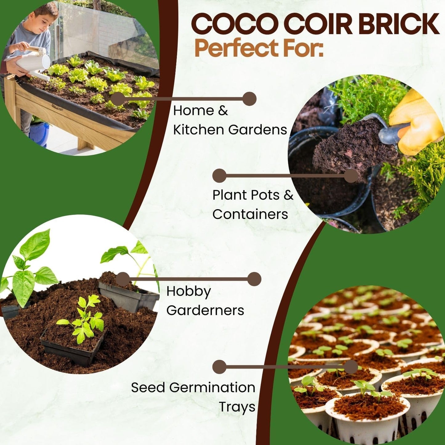 6 Pack Premium Coco Coir Brick for Plants | 100% Organic Compressed Coconut Coir Bricks Starting Mix, Coco Coir Fiber Coconut Husk for Planting, Gardening, Potting Soil Substrate, Herbs, 1.4 LB/Brick