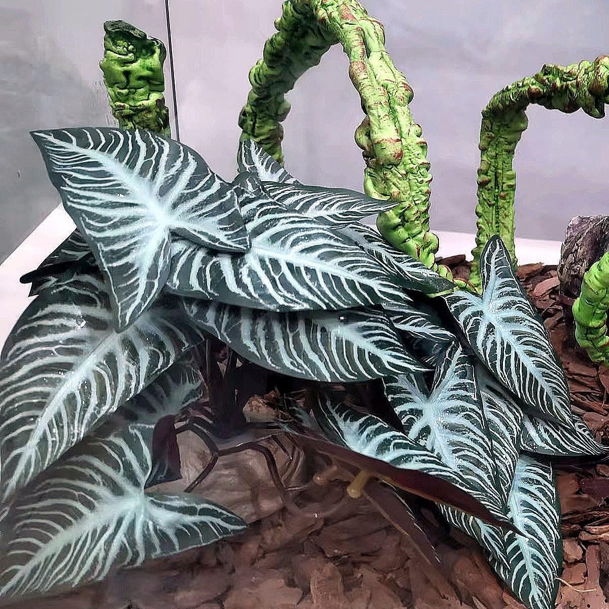 Reptile Plants,Terrarium Decor,Amphibian Habitat Decor,Artificial Plants for Gecko Chameleon Snake Tortoise Tank Accessories with Base(Xanthosoma sagittifolium)
