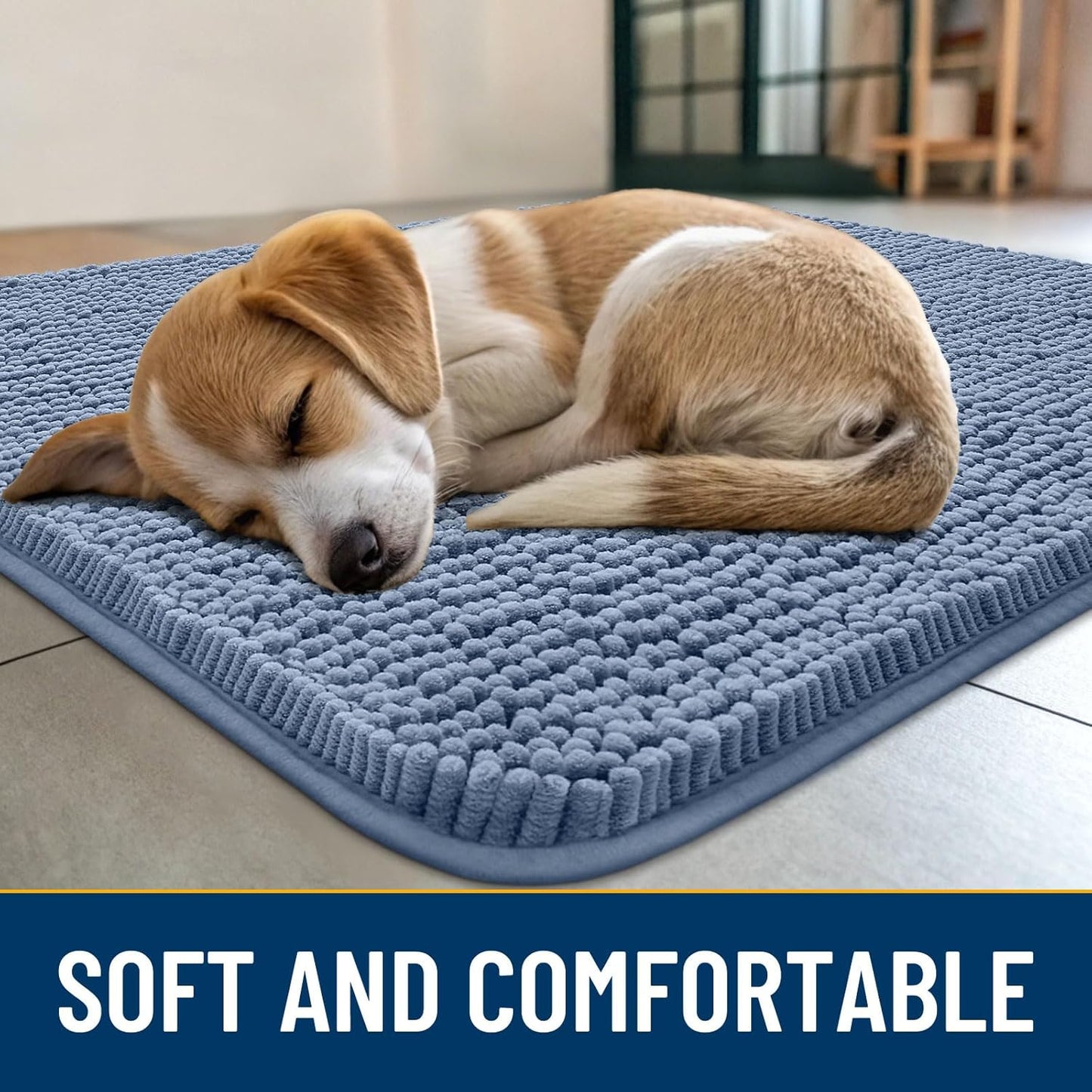 Smiry Dog Door Mat for Muddy Paws 30x20, Absorbs Moisture and Dirt Doormat, Non-Slip Washable Quick Dry Chenille Front Door Mat Indoor Entrance, Entryway Carpet for Inside Floor, Airy Blue