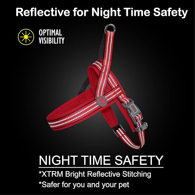 DOCO No-Pull Dog Harness Halter Reflective Easy-Control Harness for Training, Walking, and Preventing Pulling, Ideal for Medium Dogs(Turquoise)