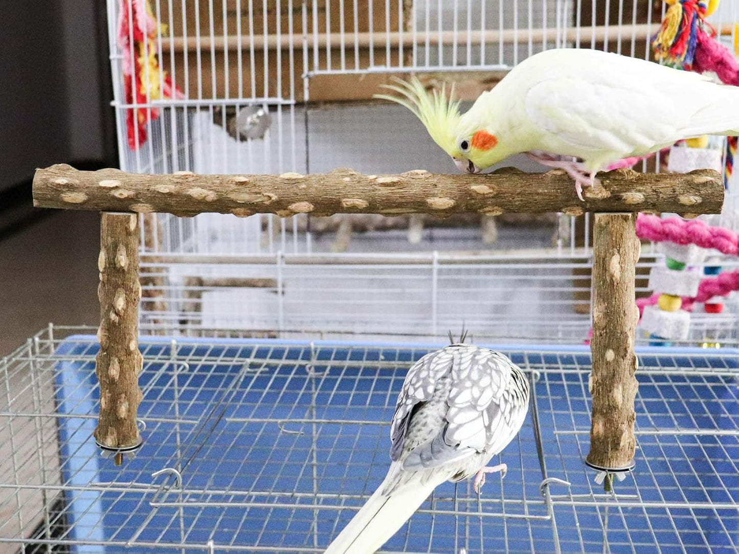 Large Natural Pepper Wood Parrot Stand Branch, Wooden Perch for Parakeet Cockatiels Conures Lovebirds Budgies, Birdcage Accessories 15.66.7 Inches