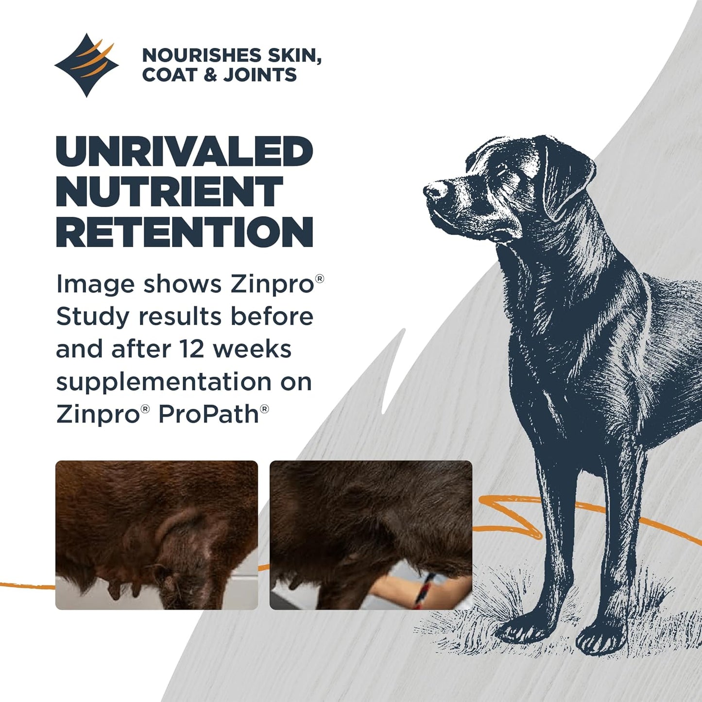 Blackwood Sensitive Skin & Stomach Dry Dog Food, Lamb Meal & Brown Rice with Ancient Grains, 24 Pound Bag with Prebiotics & Probiotics to Promote Gut Health