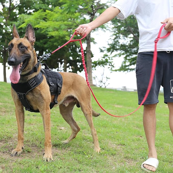 ICEFANG Tactical Dog Leash,K9 Training Walking Bungee Lead with 2 Control Handle,Heavy Duty Quick Release Metal Clasp,for Medium Large Breed (Reflective Red, 6 FT)