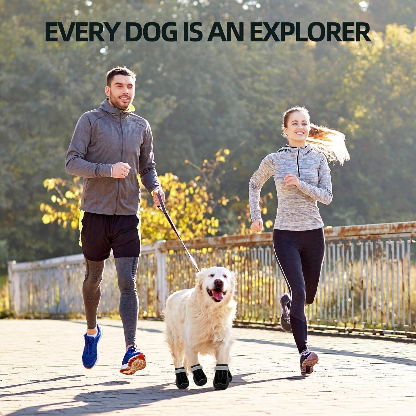 Hcpet Dog Boots for Large Dogs, Dog Shoes for Hot Pavement Winter Snow, Paw Protector Dog Booties Designed for Comfort and Breathability, Outdoor Booties for Small Medium Dogs for Hiking Black Size 7