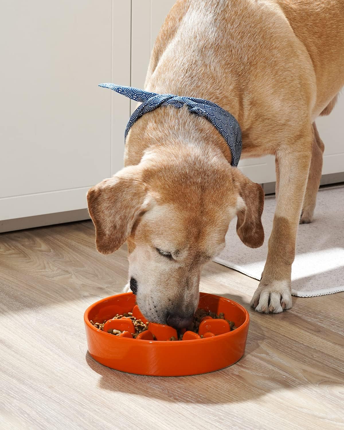 LE TAUCI Slow Feeder Dog Bowls Ceramic,3 Cups Slow Feeding Dog Bowl Medium Large Breed, Pet Bowl for Fast Eaters, Puzzle Pet Dishes,Sun Orange