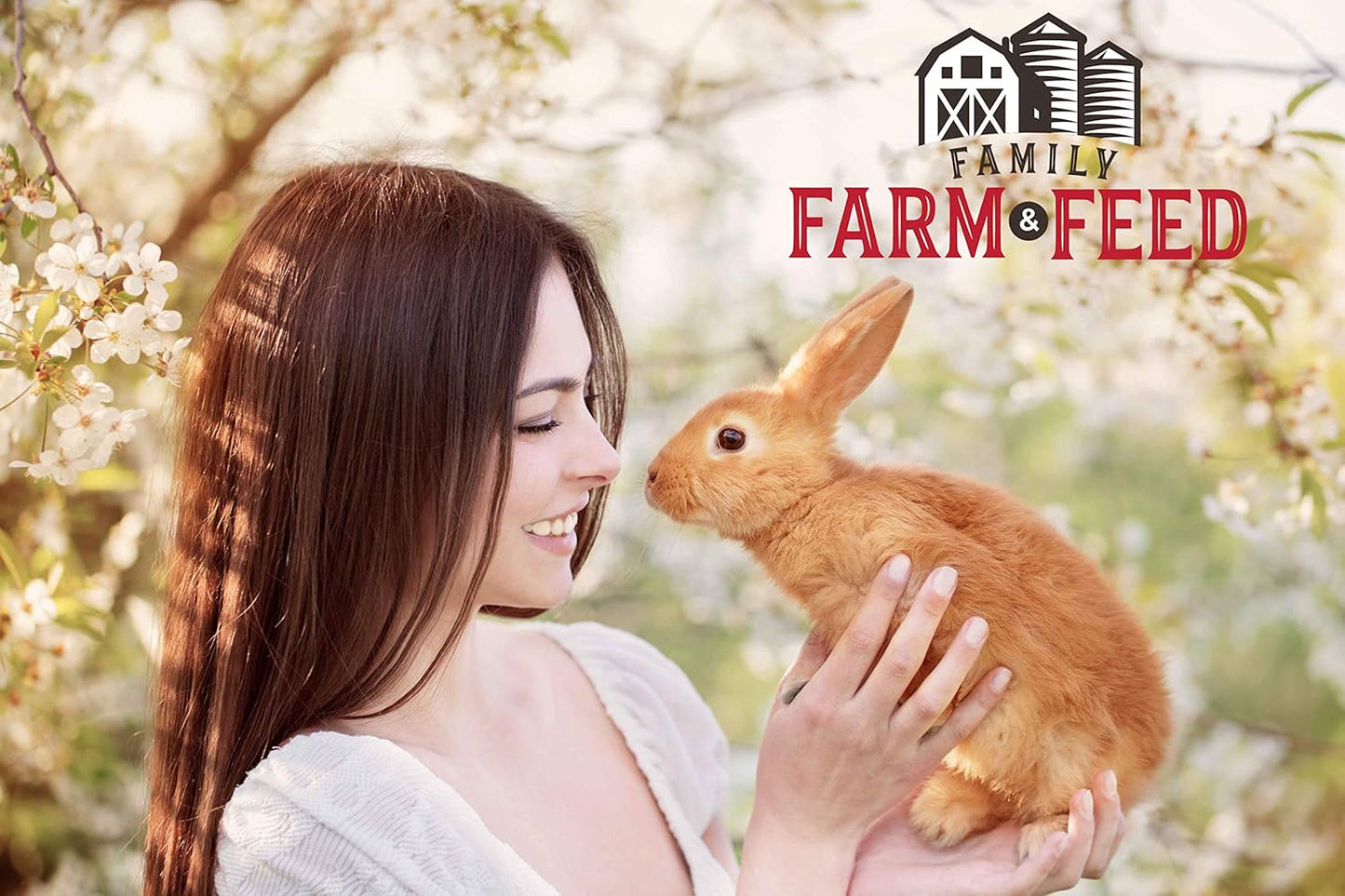 | Alfalfa Hay Food | Small Pet | Young and Adult | Pellets | 5 Pounds