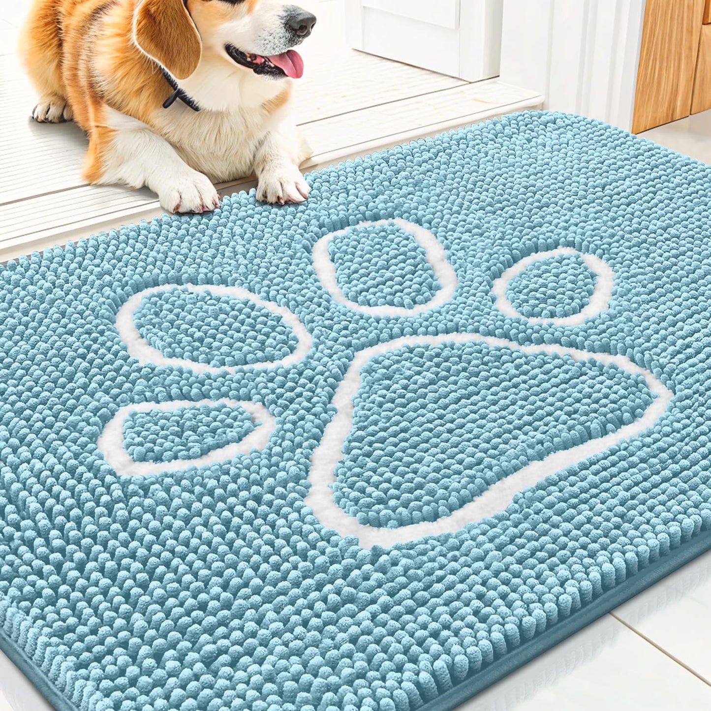 Smiry Dog Door Mat for Muddy Paws, Absorbent Dirt Trapper Non Slip Quick Dry Washable Chenille Mat for Mud Dogs, Entry Rug for Indoor and Outdoor (30x20 Inches, Sky Blue)